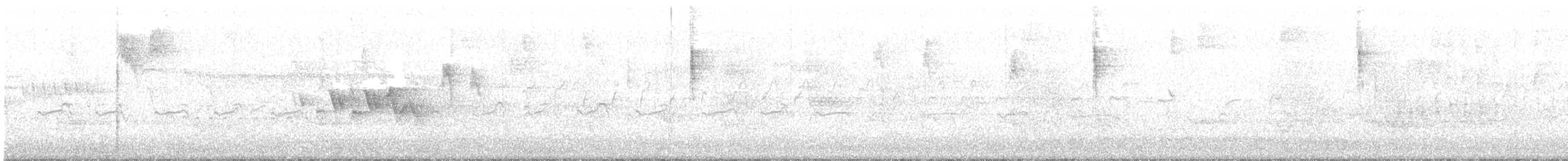 Magnolia Warbler - ML638362343