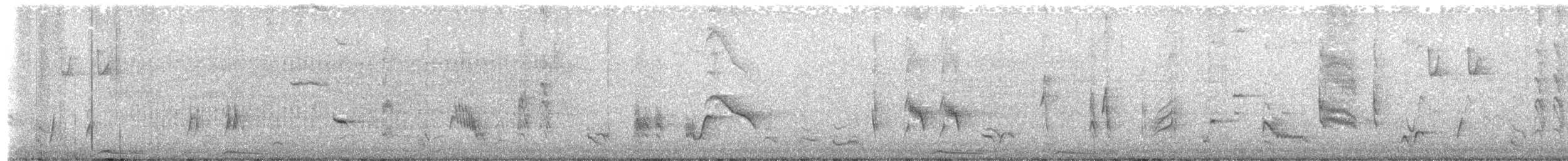 Long-billed Thrasher - ML638363441