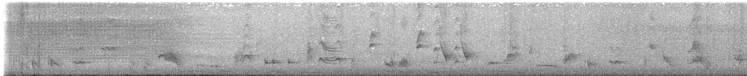 Long-billed Thrasher - ML638363543