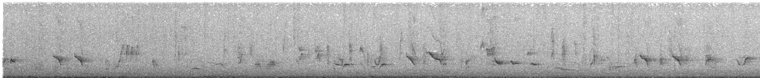 Long-billed Thrasher - ML638363623