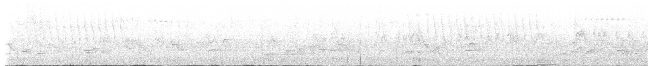 Catharus sp. - ML638363968