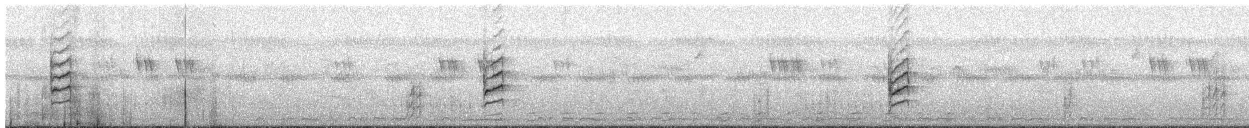 Green-backed Camaroptera (Gray-backed) - ML638363979