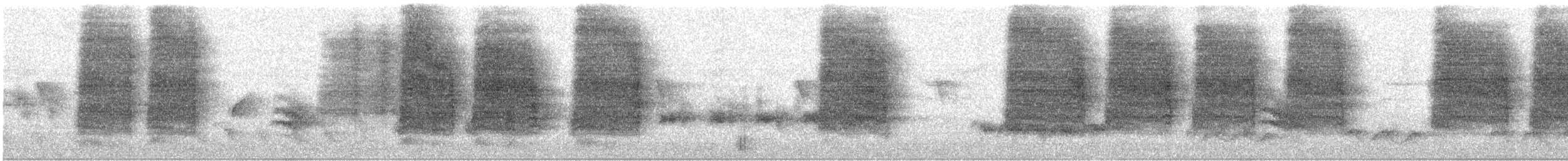 Northern House Wren - ML638364752
