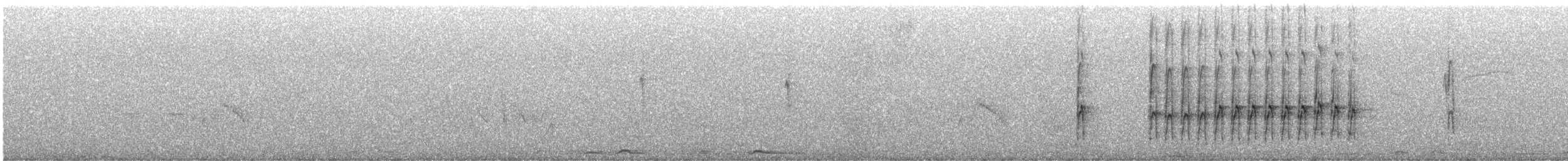Ladder-backed Woodpecker - ML638364836