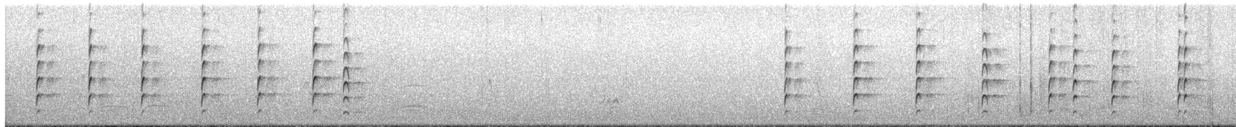 Spur-winged Lapwing - ML638364943