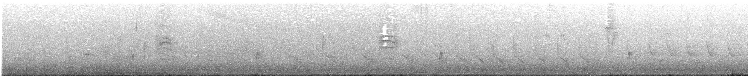 oreempid - ML638365016