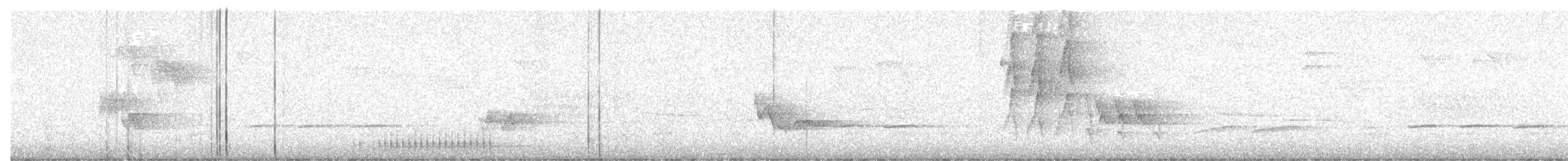 Pico Velloso (grupo villosus) - ML638365378