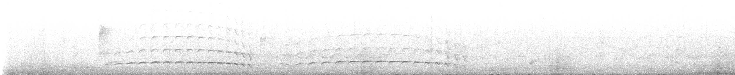 Spot-breasted Antvireo - ML638365458