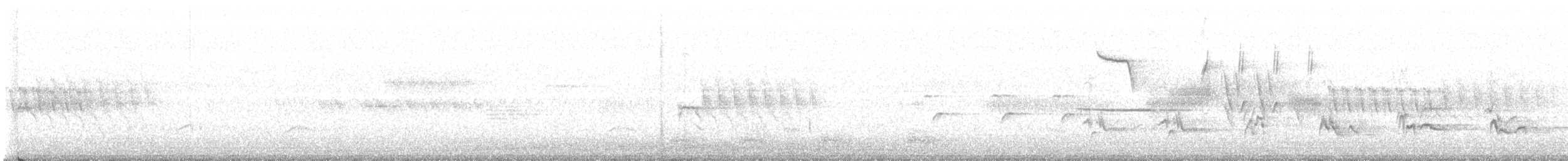 קיכלי נודד - ML638365929