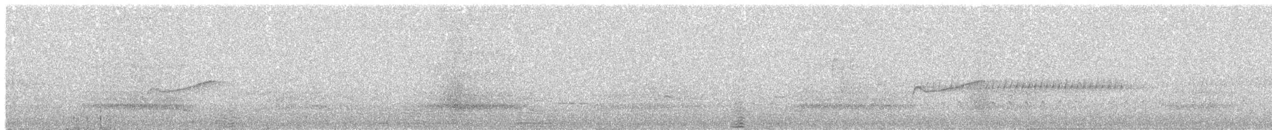 Yellow-bellied Flycatcher - ML638366241