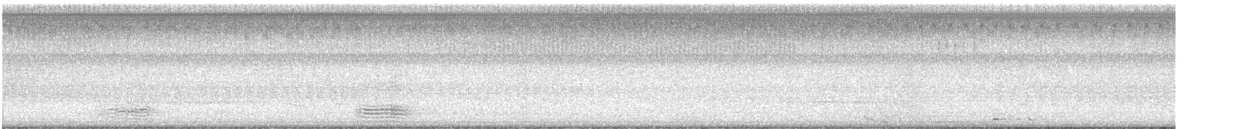 American Crow - ML638367001