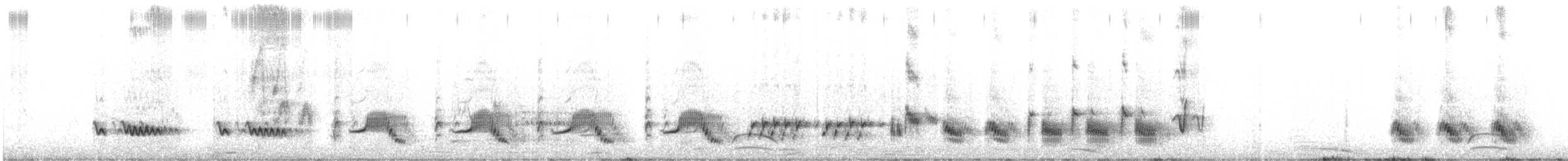 Northern Mockingbird - ML638368405