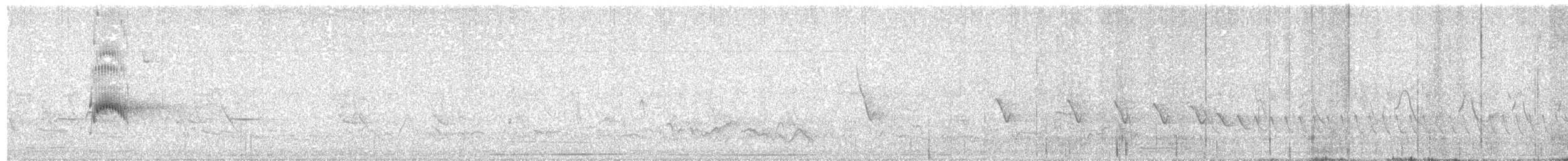 Couch's Kingbird - ML638369018