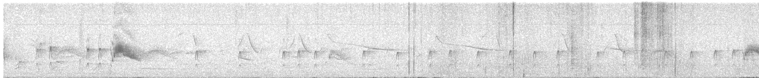 Couch's Kingbird - ML638369462