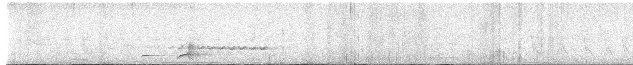 Black-throated Bobwhite - ML638370567