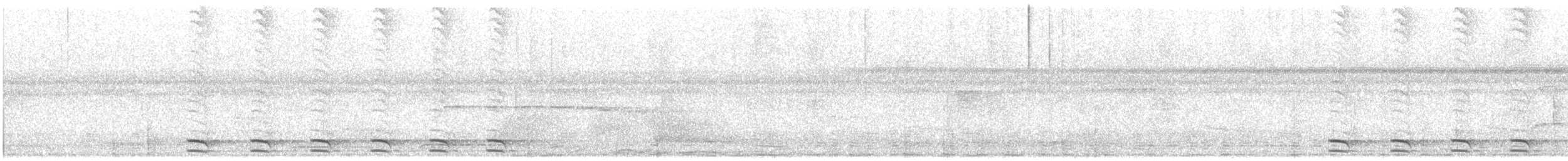 White-shouldered Antshrike - ML638370634