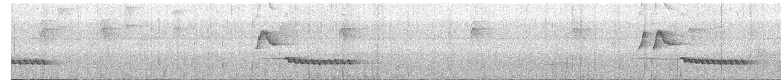White-breasted Wood-Wren - ML638372349