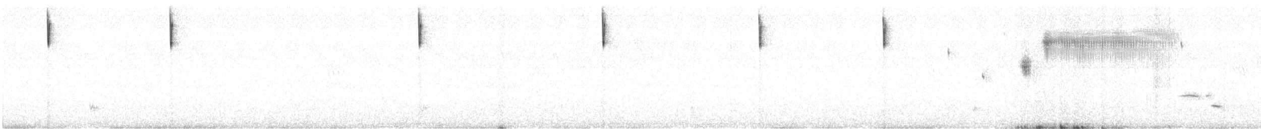 Green-tailed Towhee - ML638373924