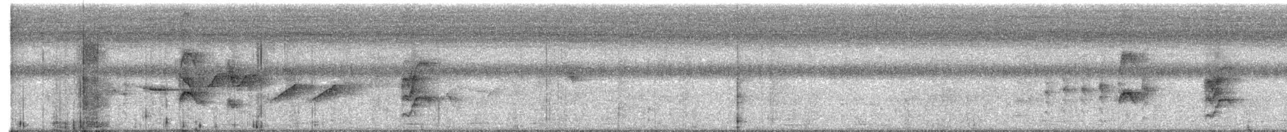 Northern Scrub-Flycatcher - ML638374848