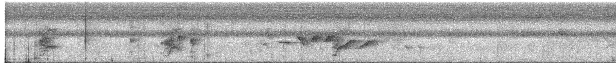 Northern Scrub-Flycatcher - ML638374849