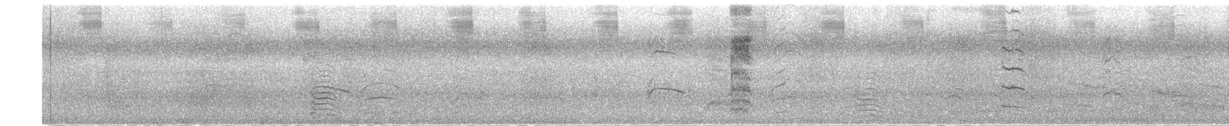 Sterne inca - ML638375033