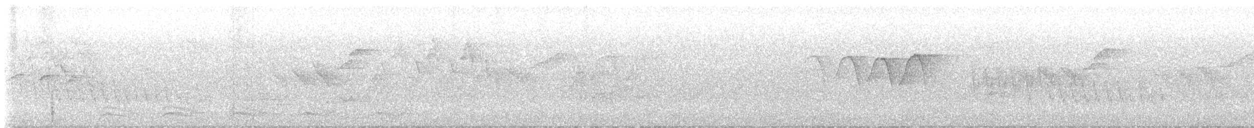 סבכון חכלילי - ML638375101