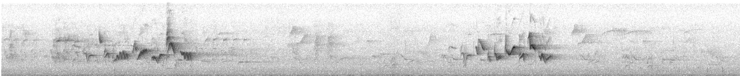 Western Warbling Vireo - ML638375610