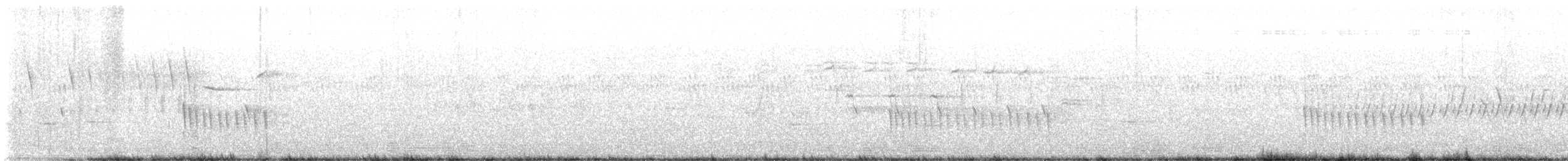 Belted Kingfisher - ML638375645