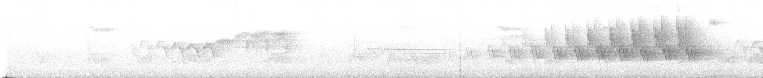 Parula Norteña - ML638375794