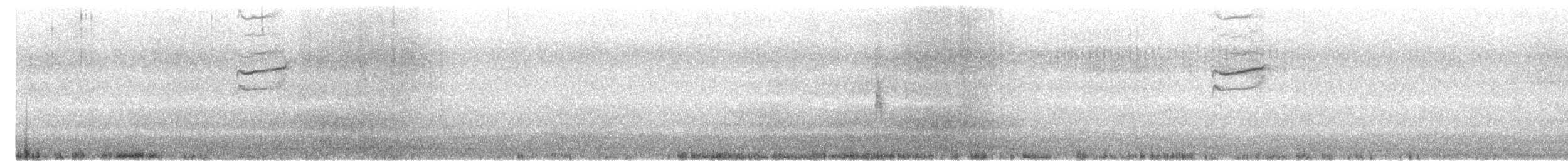 Northern Mockingbird - ML638376032