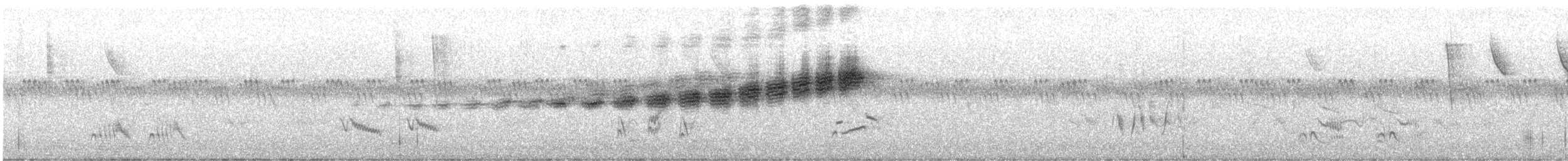 Prairie Warbler - ML638378218