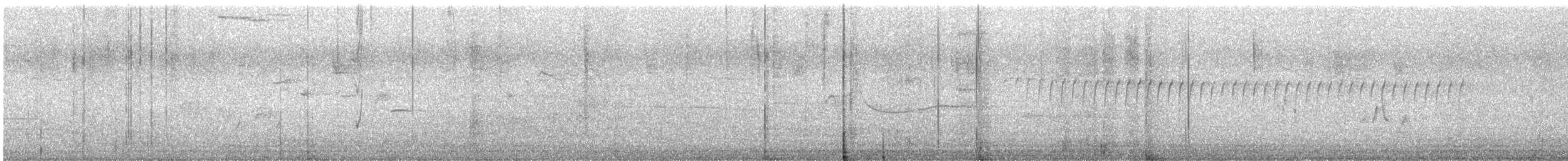 Eastern Wood-Pewee - ML638379039