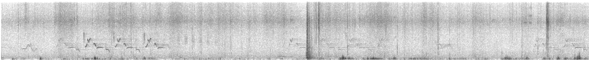 Carolina Wren - ML638379161