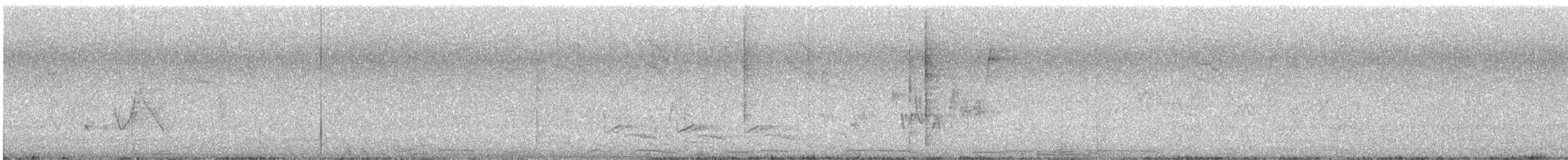White-winged Dove - ML638379370