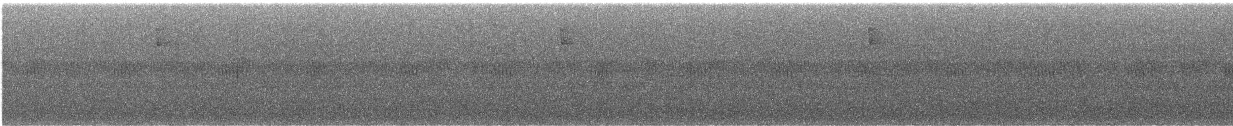 Spot-winged Thrush - ML638380259