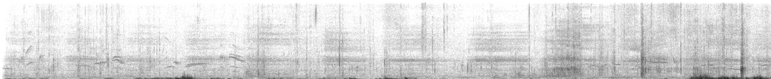 Amsel - ML638382299