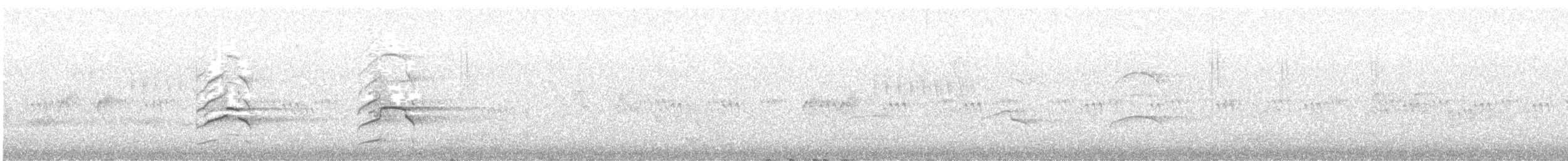 Zone-tailed Hawk - ML638383114