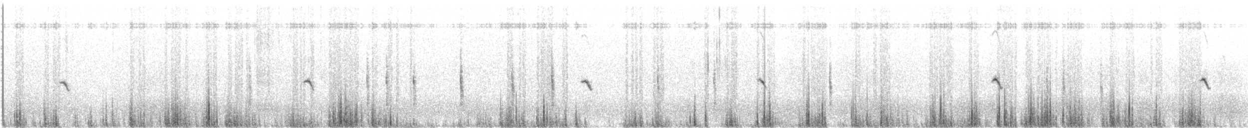 steinskvett - ML638386353
