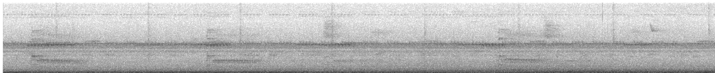 Lineated Woodpecker - ML638386367