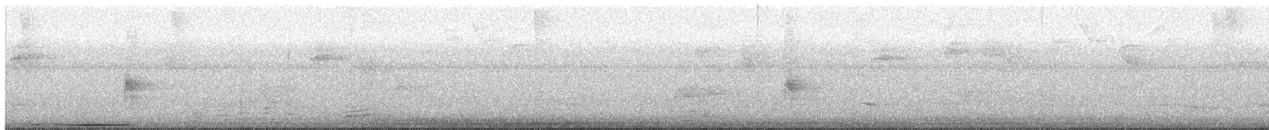 White-tipped Dove - ML638386387