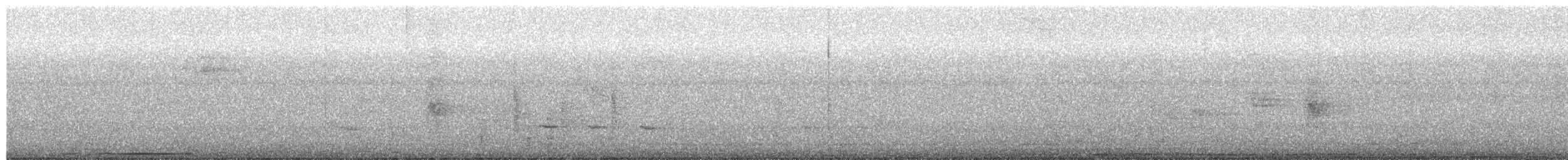 White-tipped Dove - ML638386392