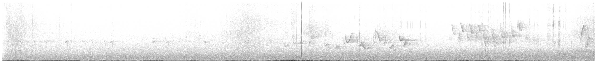 ハモンドメジロハエトリ - ML638387515
