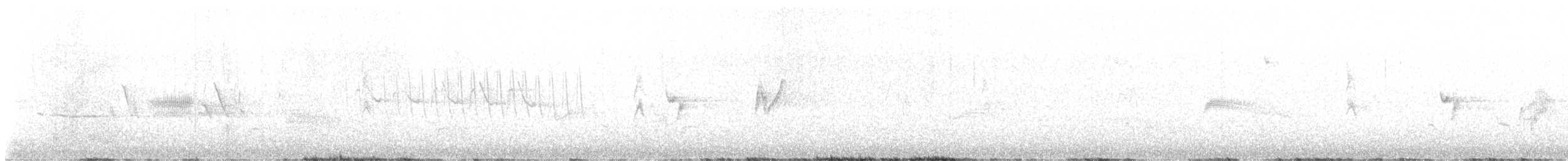 ネズミメジロハエトリ - ML638387536
