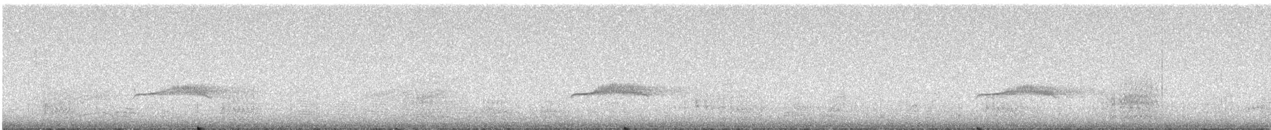 Western Wood-Pewee - ML638388509