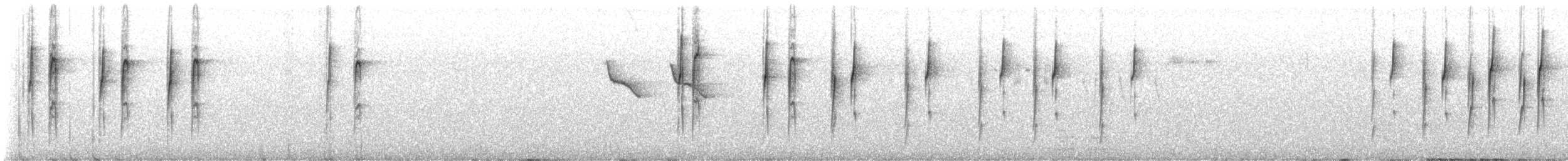 Slaty-backed Thornbill - ML638389399