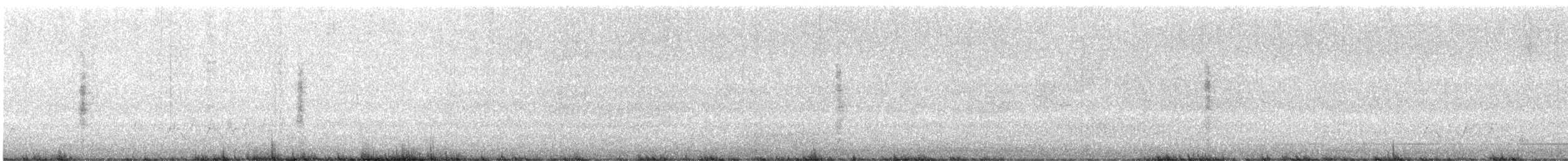 Australian Reed Warbler - ML638390077