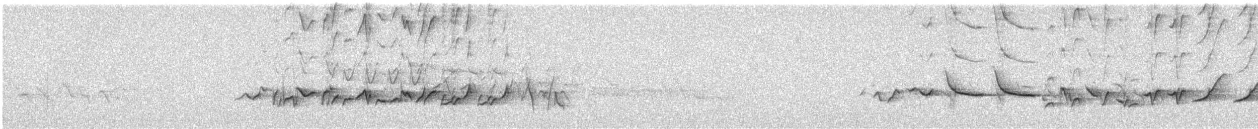 hýl křivčí - ML638390344
