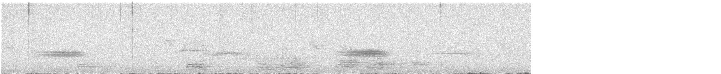 husa polní - ML638390350
