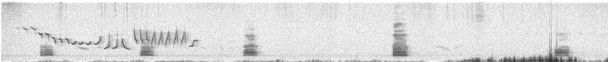 Sterntaucher - ML638390520