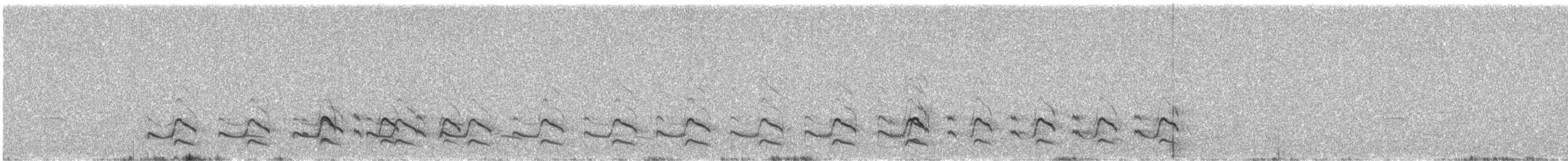 Bar-tailed Godwit - ML638390534